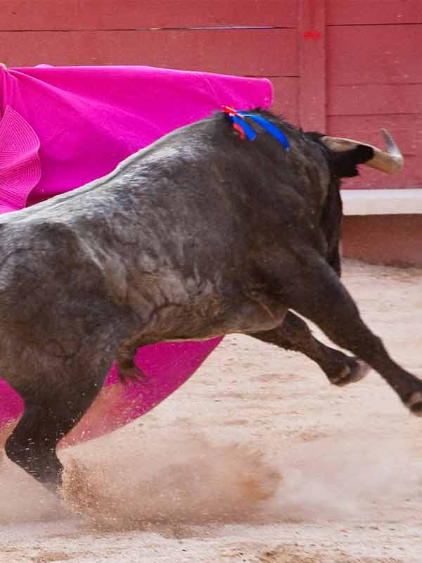 Fonestar-ARENES-DU-CRES-5 Sonorización de un espacio multiusos institucional: Arenes du cres