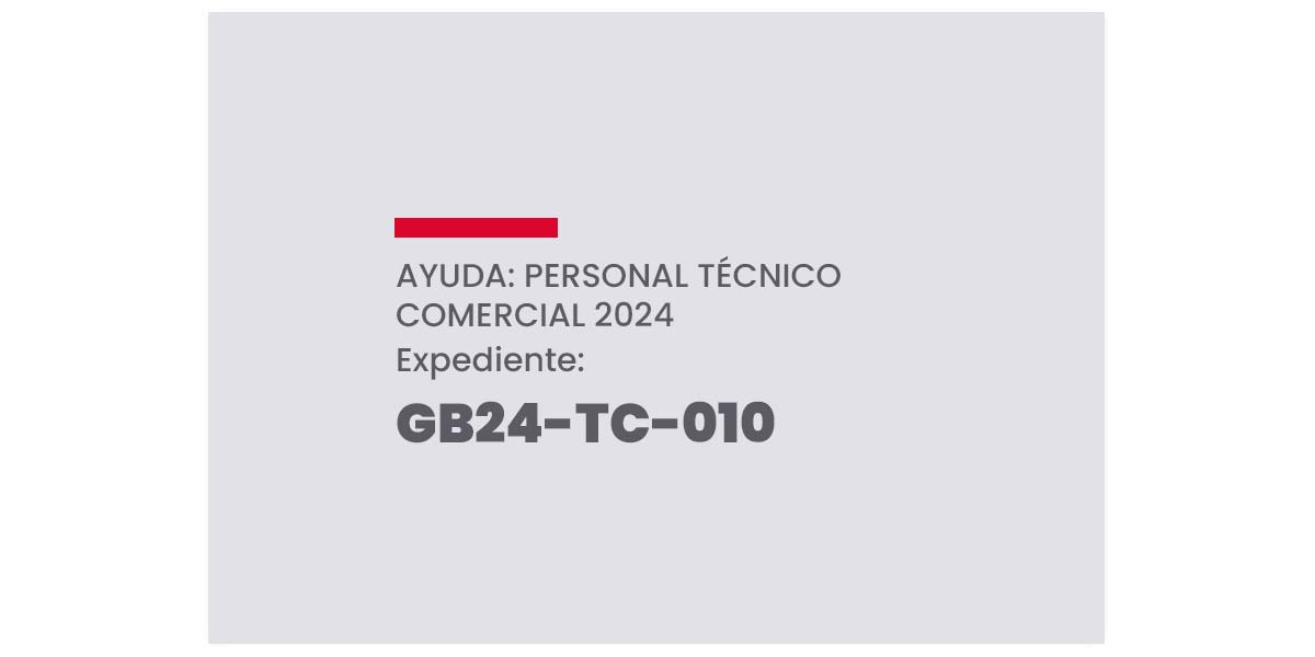 Fonestar-expediente-GB24-TC-010